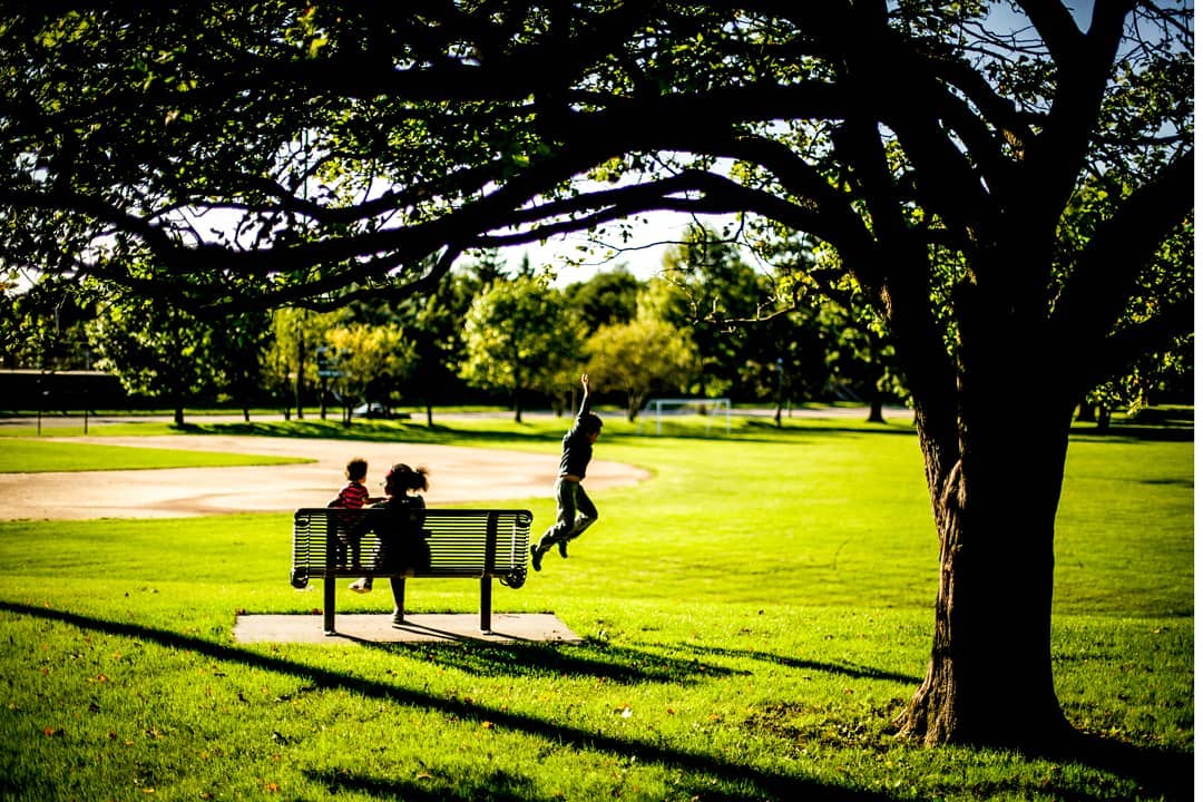 My Summer Wish for Every Family? Deschool.